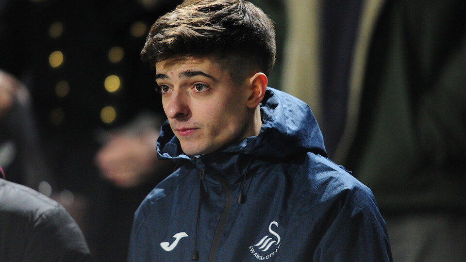 Swansea City supporters