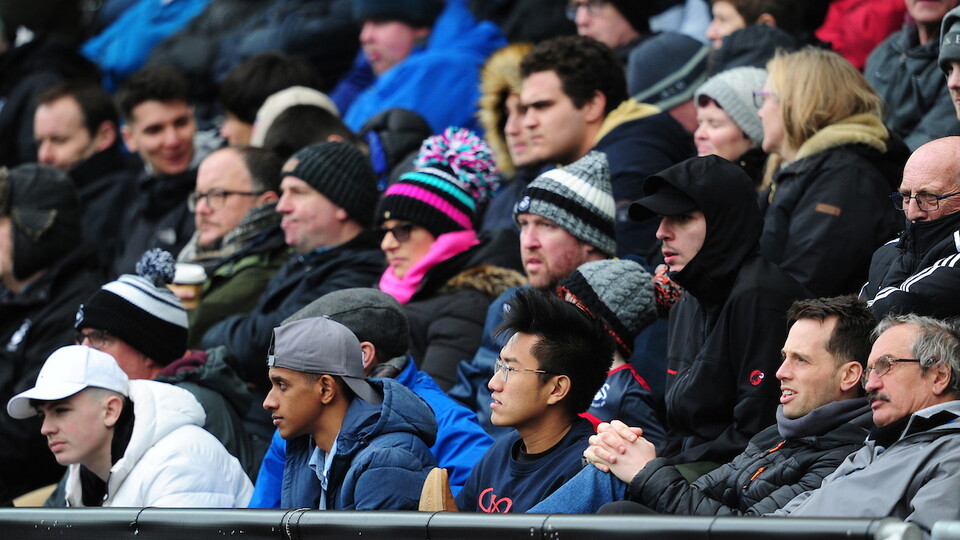 Swansea City supporters