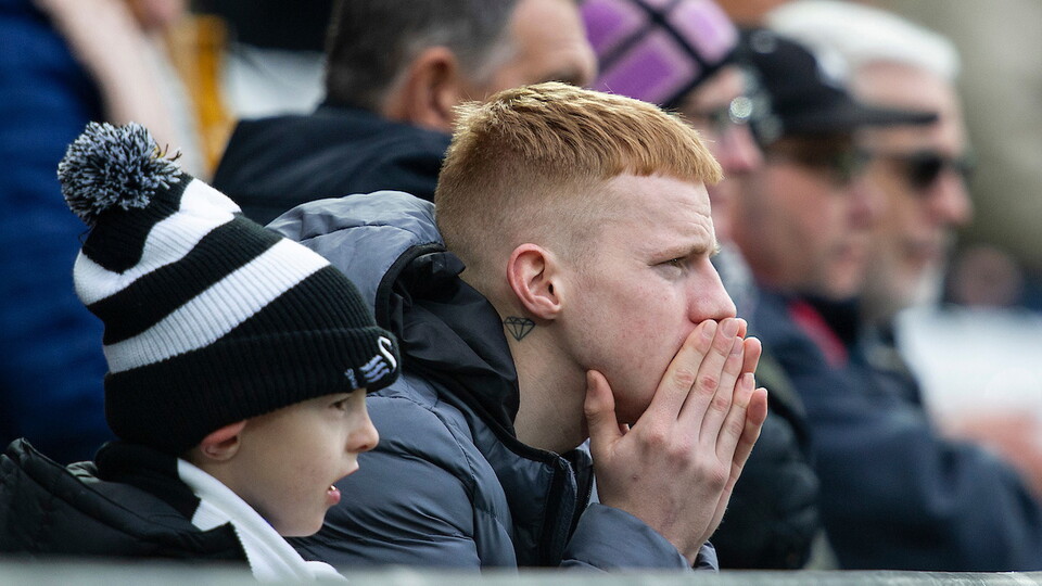 Swansea City supporters