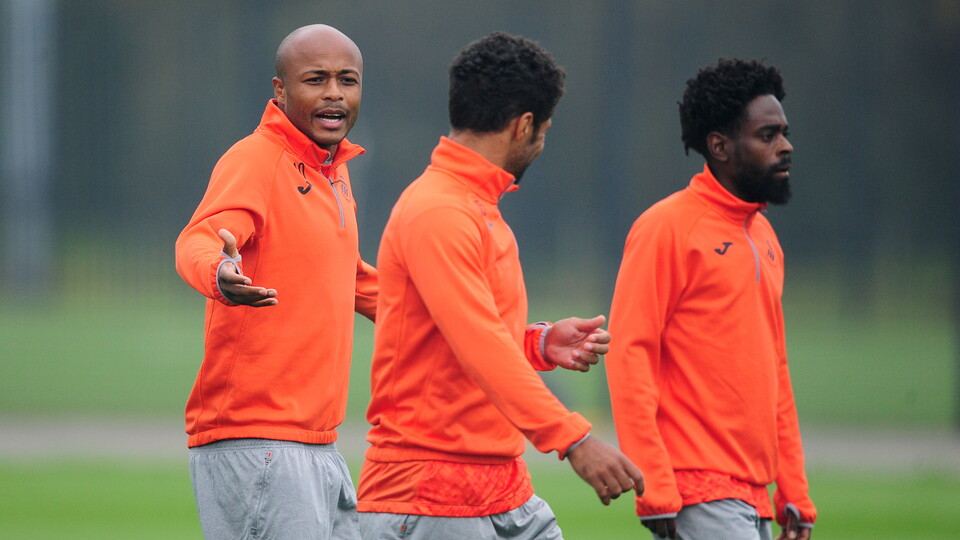Swansea City training