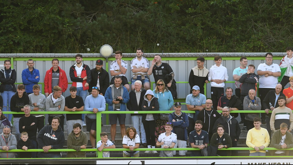 Swansea City supporters