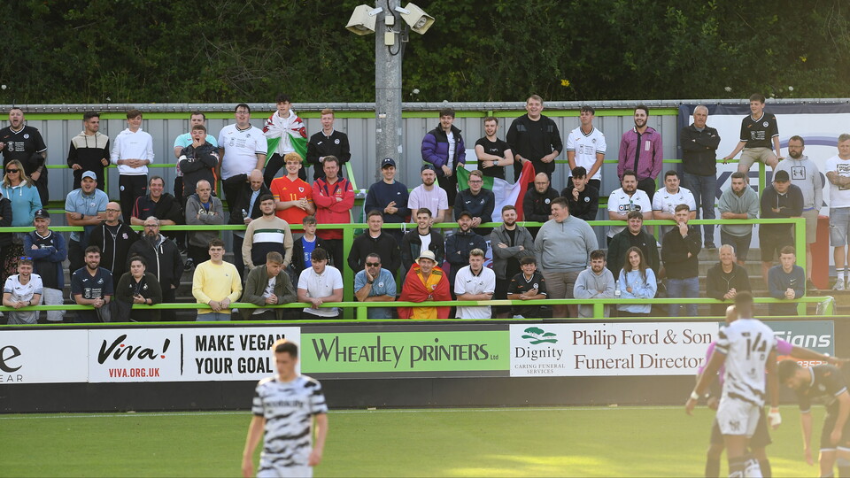 Swansea City supporters