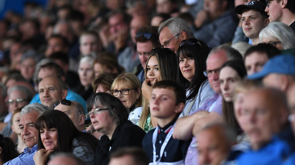 Swansea City supporters