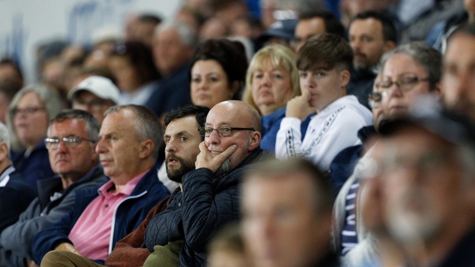 Swansea City supporters