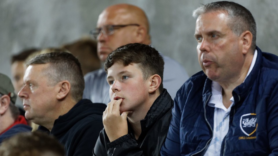 Swansea City supporters