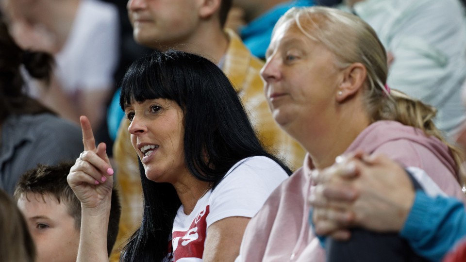 Swansea City supporters
