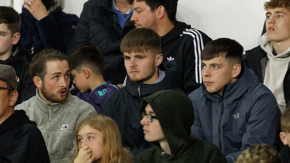 Swansea City supporters