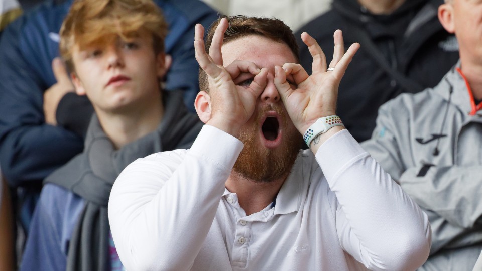 Swansea City supporters