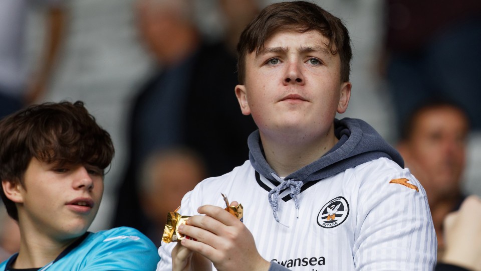 Swansea City supporters