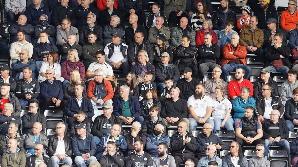 Swansea City supporters