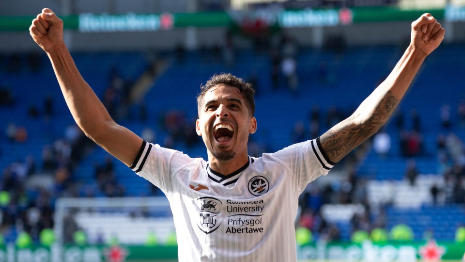 Cardiff celebrations gallery
