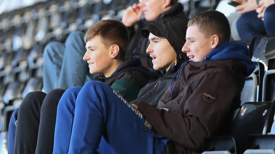 Fans 20