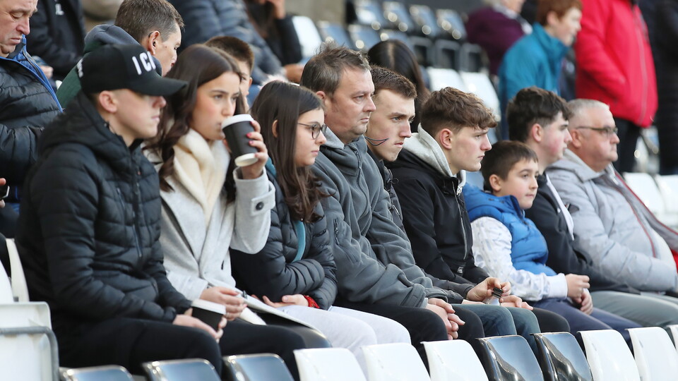 Fans 31