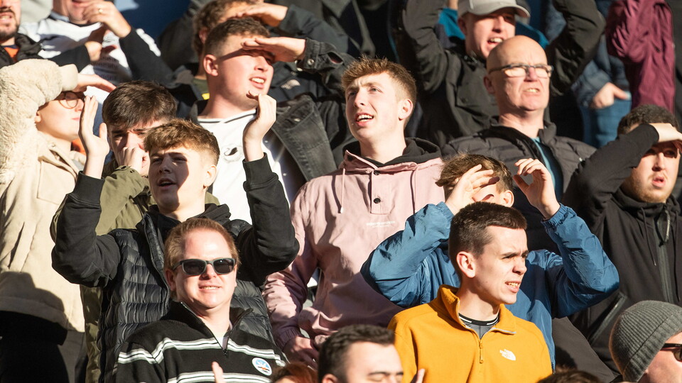 Fans 41