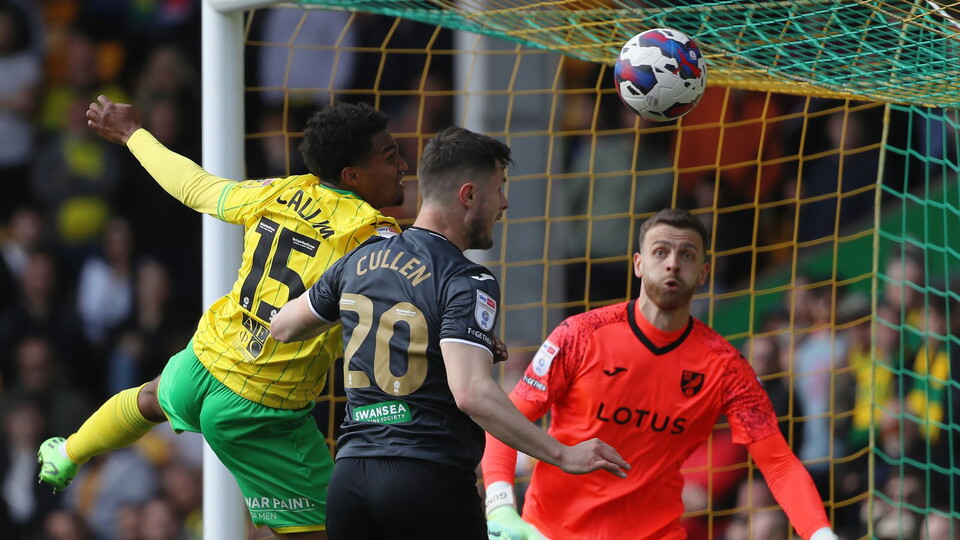 Gallery Swans v Norwich