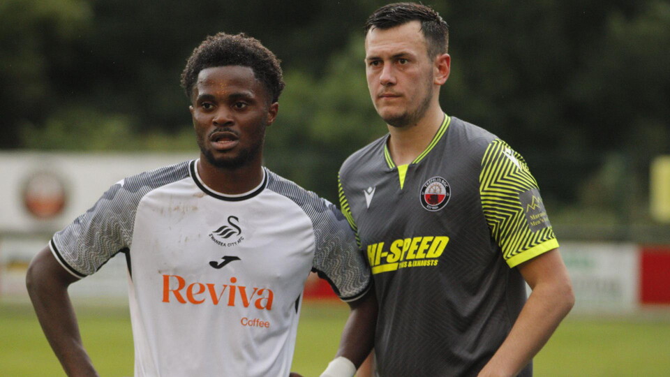 Glory Nzingo v Trefelin