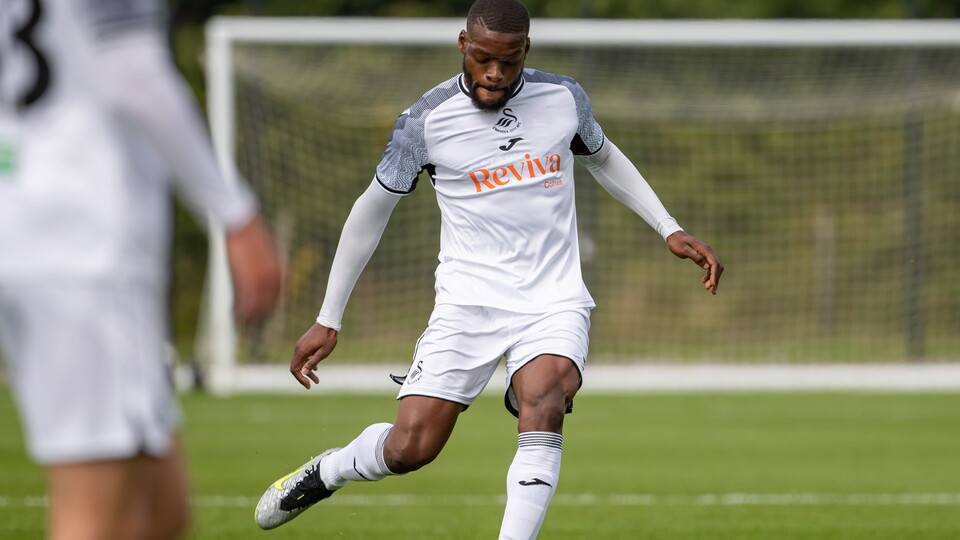 Gallery | Swansea City v Brondby