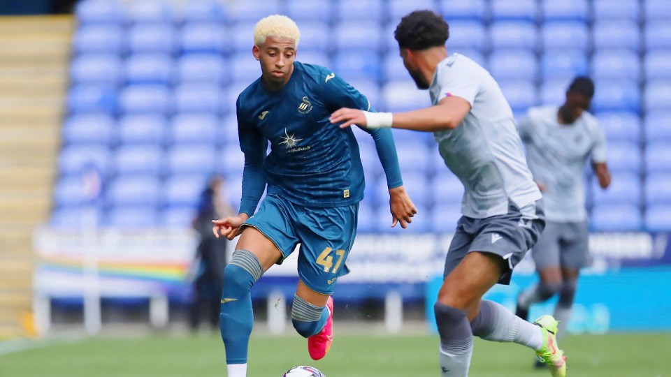 Reading friendly gallery 23-24