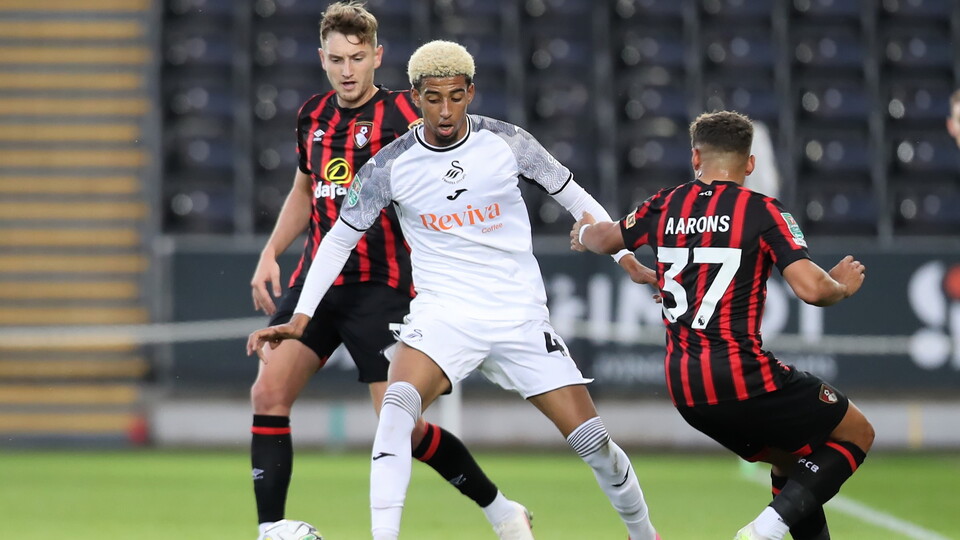 Gallery - AFCB