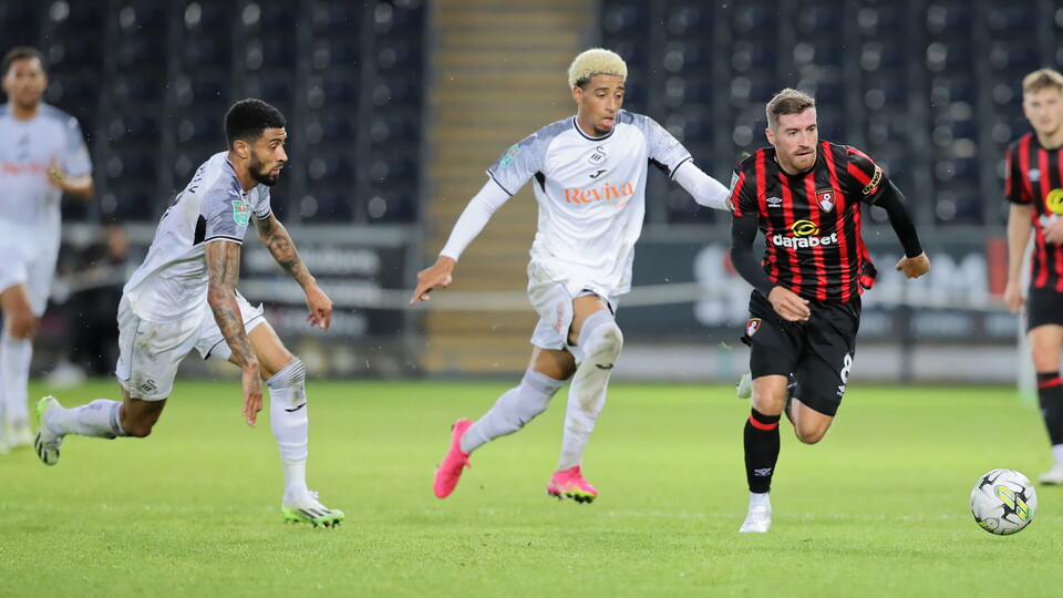 Gallery - AFCB