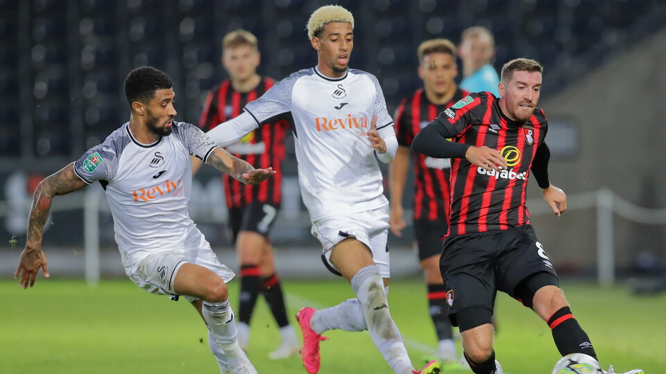 Gallery - AFCB