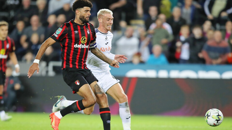Gallery - AFCB