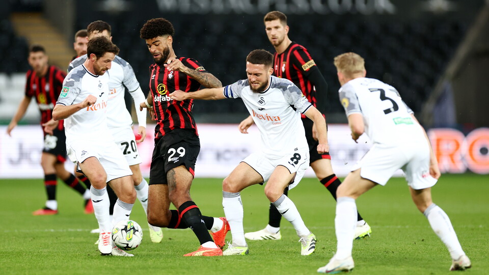 Gallery - AFCB