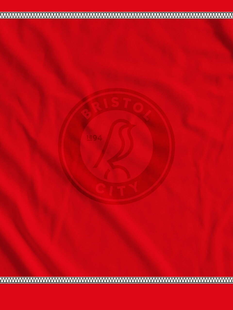 bristol-city-meet-the-opps-b