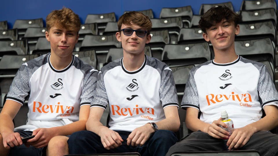 Fans cheer on the Swans against Sheffield Wednesday