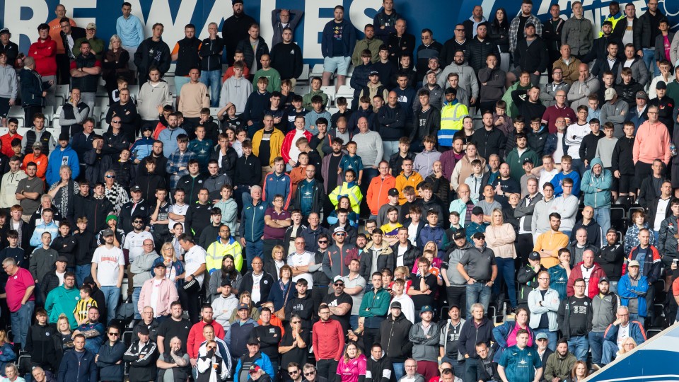 Fans cheer on the Swans against Sheffield Wednesday