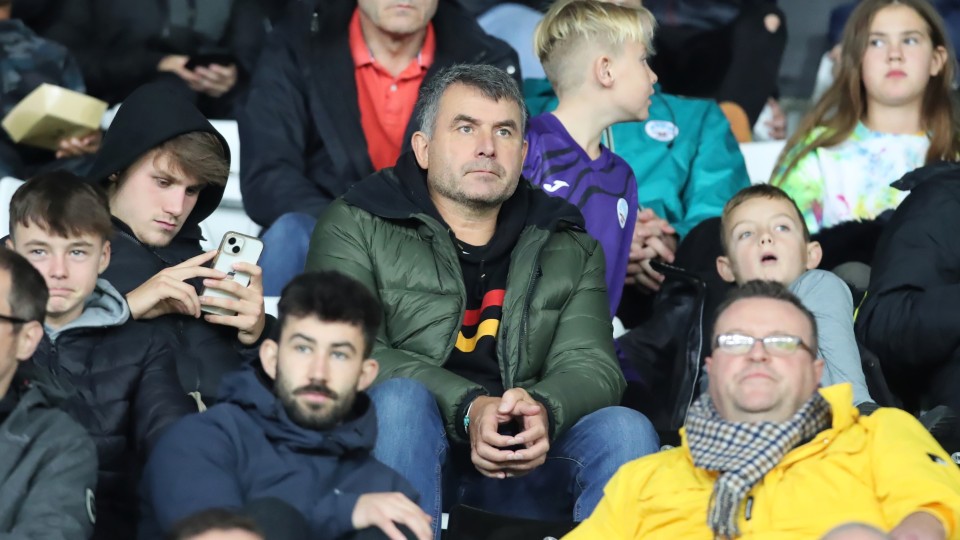 fans 29