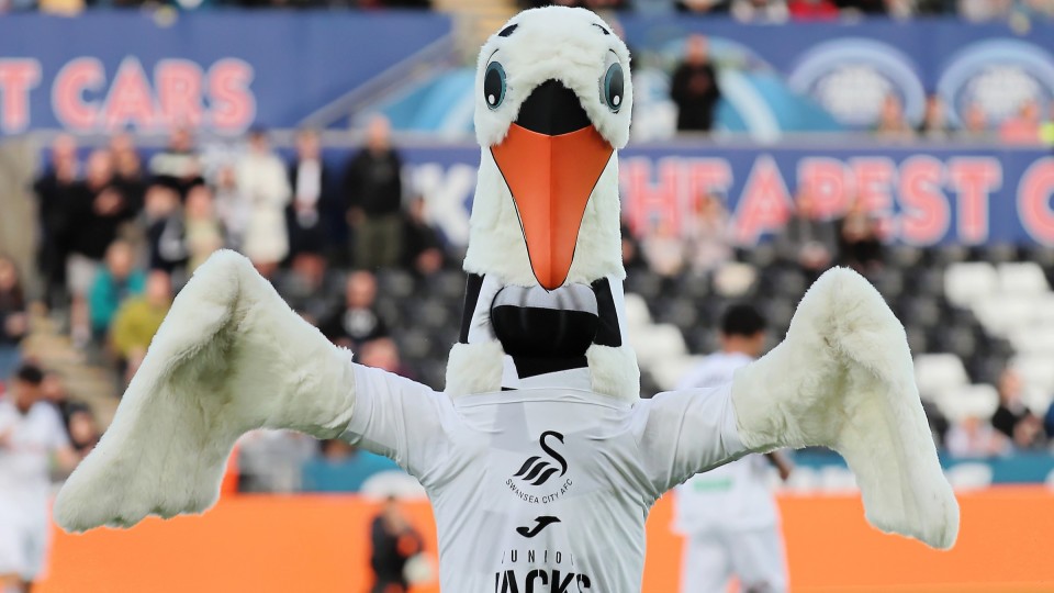 Cyril the Swan
