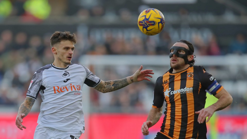 Gallery - Swans Hull