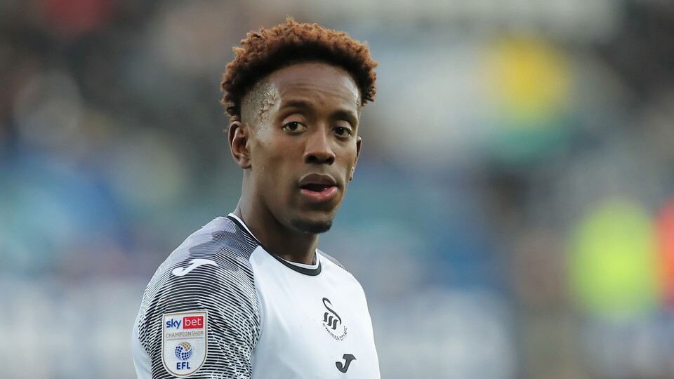 Gallery - Swans Hull