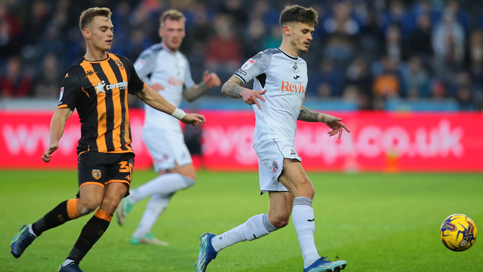 Gallery - Swans Hull