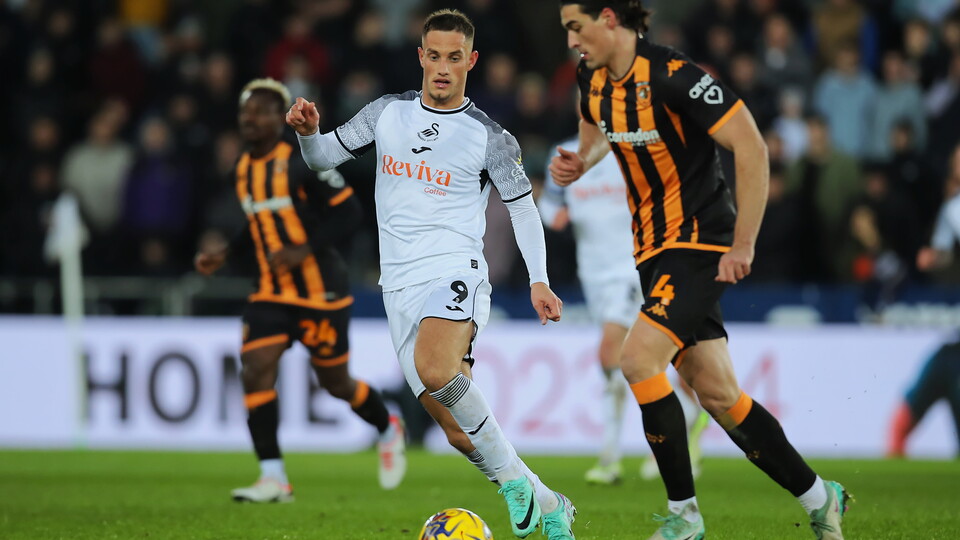 Gallery - Swans Hull