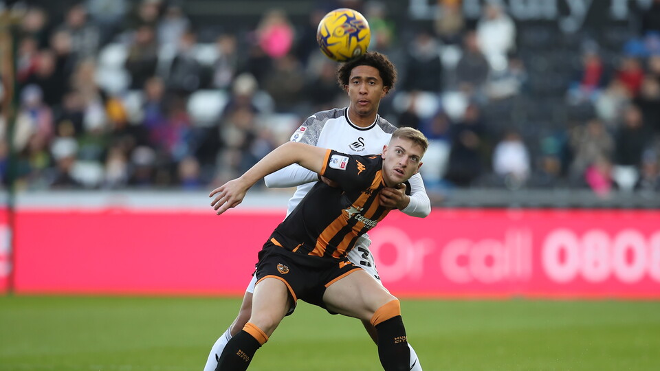 Gallery - Swans Hull