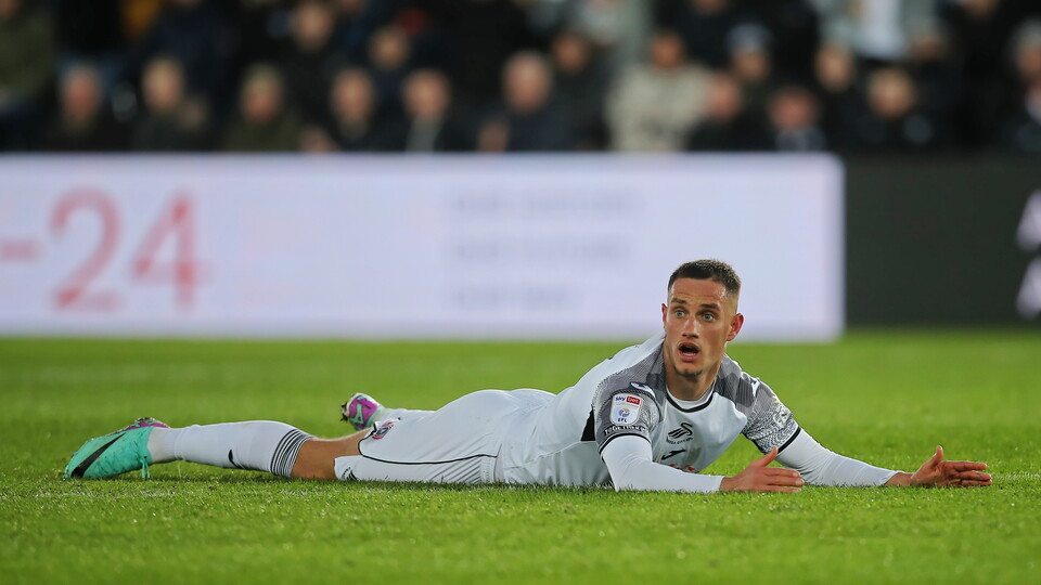 Gallery - Swans Hull