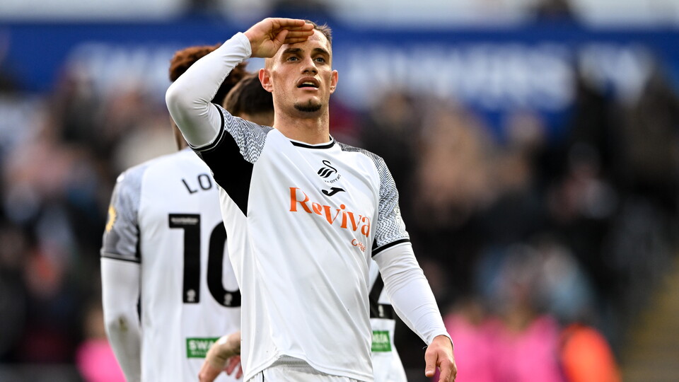 Gallery - Swans Hull
