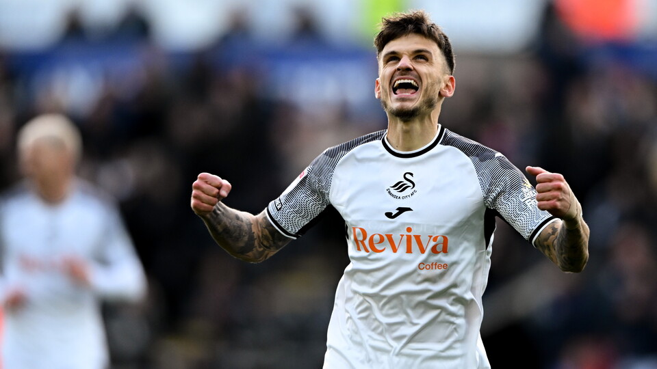 Gallery - Swans Hull
