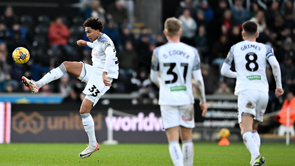 Gallery - Swans Hull