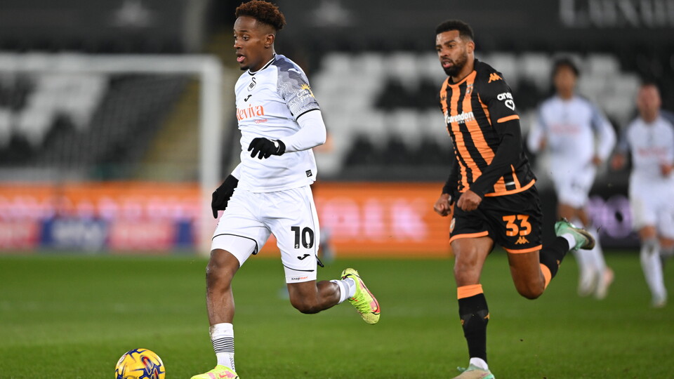 Gallery - Swans Hull