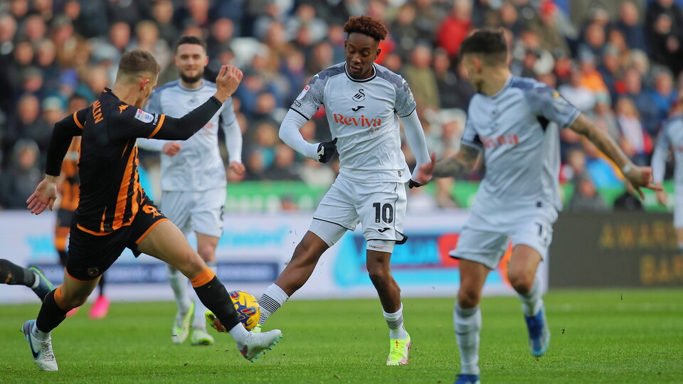 Gallery - Swans Hull