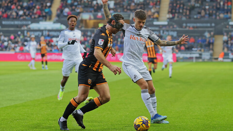 Gallery - Swans Hull