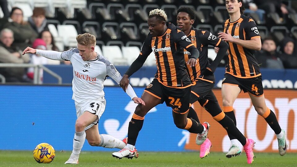 Gallery - Swans Hull