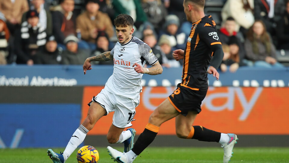 Gallery - Swans Hull