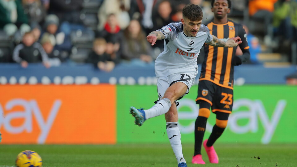 Gallery - Swans Hull