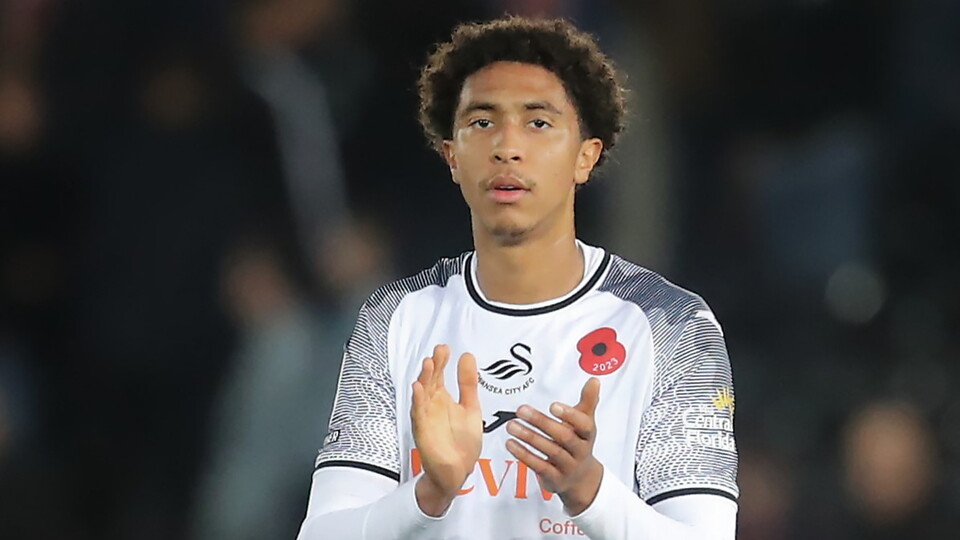 Swansea City v Sunderland home