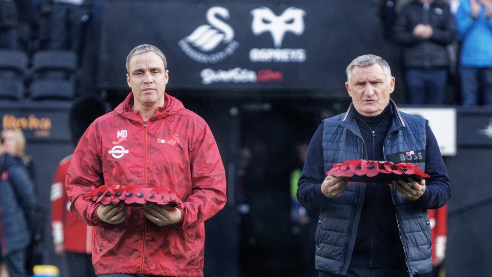 Swansea City v Sunderland home