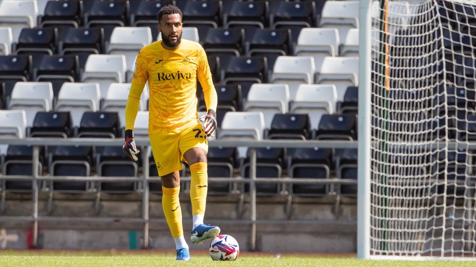 Swansea City v Rio Ave Gallery